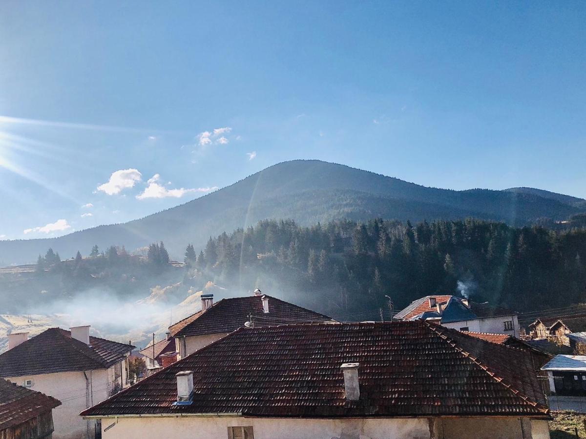 Къща За Гости "Домът На Краси" Yagodina Exterior foto